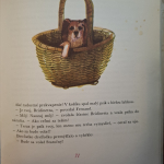 Vildrac Charles - Dievčatko Bridinetta