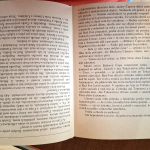Welskopfová-Henrichová L. - Synovia veľkej medvedice-Mladý náčelník . V. diel