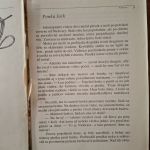 Welskopfová-Henrichová L. - Synovia veľkej medvedice-Mladý náčelník . V. diel