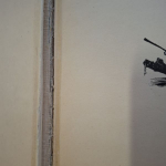 Verne - 800 míľ po Amazone  (1967)