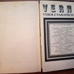 Verne - Maják na konci sveta, Denník stroskotanca