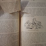 Praktická hospodyňka I.