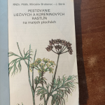 Pestovanie liečivých a koreninových rastlín na malých plochách - M.Brabenec, RNDr., J.Bôrik