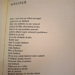 Ferlinghetti Lawrence - Smutná nahá jazdkyňa