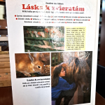 Láska k zvieratám - Anneliese zum Kolková