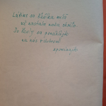 Grimmovci Jakob a Wilhelm - Vták so zlatým perím a iné rozprávky