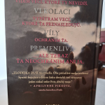 Whiteová Kiersten - Zlodejka duší