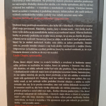 Slováková Jarmila - (Ne)verná