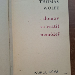 Wolfe Thomas - Domov sa vrátiť nemôžeš