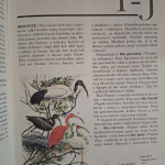 Svet živočíšnej ríše