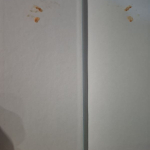 Walkerová Thompsonová Karen - Vek zázrakov