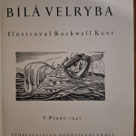 Melville Herman - Bílá velryba