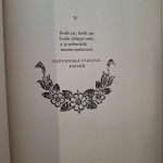 Perečko belavé, červený dolomán