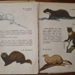 Zoológia 6 ZDŠ - Jindřich Roubal, Karel Zima