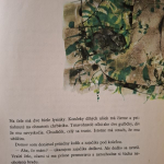 Kuchta Ladislav - Kto nám chodí na oriešky