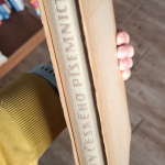 Novák Arne - Dějiny českého písemnictví