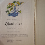 Čepčeková Elena - Zrkadielka