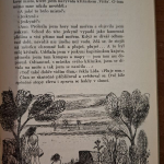 Čukovskij Nikolaj - Mořský lovec