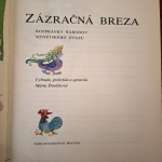 Ďuríčková  Mária - Zázračná breza