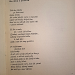 Horov Pavol - Koráby z Janova