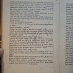 Huska Miroslav A.. - Biela plť na Váhu