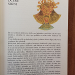 Chmelová Elena - Dievčatko v mušli