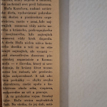 Jelena Iľjina - Huľa