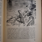 Augusta Josef - Zavátý život