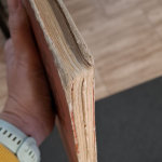 Jurgen Anna - Modrý vták -  Vyvolený syn Irokézov  (1958)