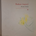 Kunik J.F. - Šukar čajori - Krásne dievča