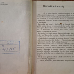 Mačingová Božena - Barborka a jej babka Robotka