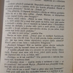 Diekmannová Miep  - Marijn u pirátu