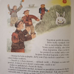 Poštár a vtáci a iné rozprávky - Marino Zurl