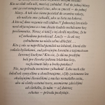 Rýgl Antonín - Rozprávky z lekárne