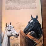 Sewellová Anna - Čierny krásavec