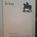 Stone Irving  - Nesmrteľná žena