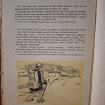 Tomaščík Karol - Džarkovia