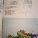 Turtles - Hrdinovia z podsvetia - Maureen Spurgeonová