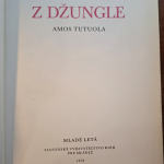 Tutuola Amos - Striga z džungle