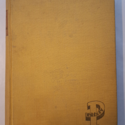 Bromfield Louis - Pani Parkingtonová