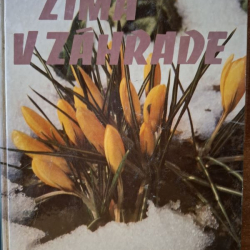 Zima v záhrade - Tykač Ján