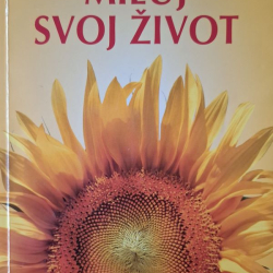 Hayová Louise L. - Miluj svoj život
