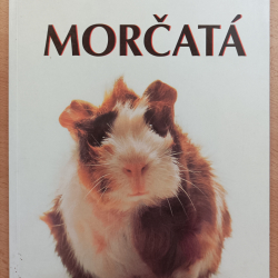 Zvieratá u nás doma - Morčatá