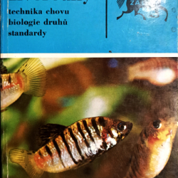 Živorodky
