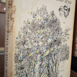 Andruška Peter - Dvaja zo strieborného lesa