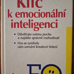 Johnson Ray - Klíč k emocionální inteligenci