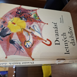 Ginterová Nataša - Dvanásť letných dažďov