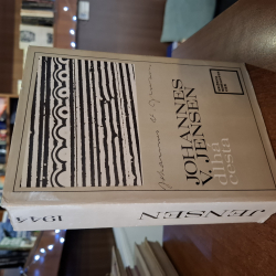 Jensen V.Johannes - Dlhá cesta