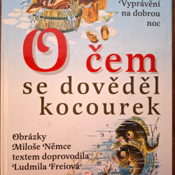 Vyprávění na dobrou noc - O čem sa dozvědel kocourek