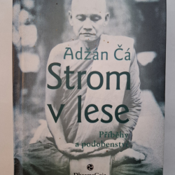 Adžán Čá - Strom v lese